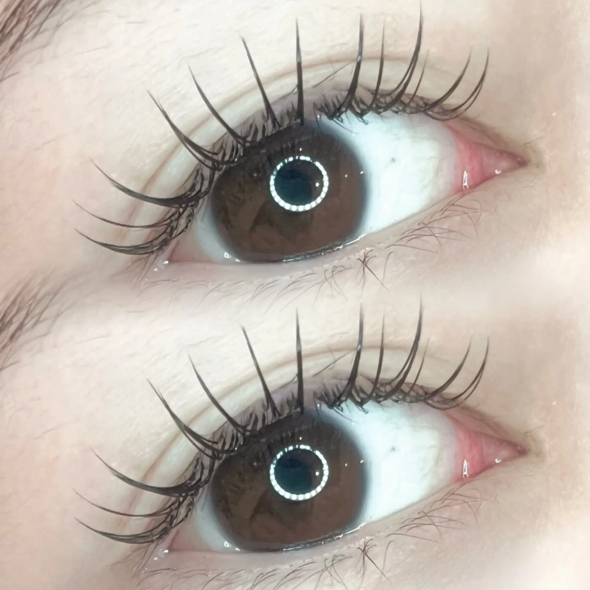 【柏市】話題のLEDマツエク✨オイルクレンジングOKの時代が来ました！！