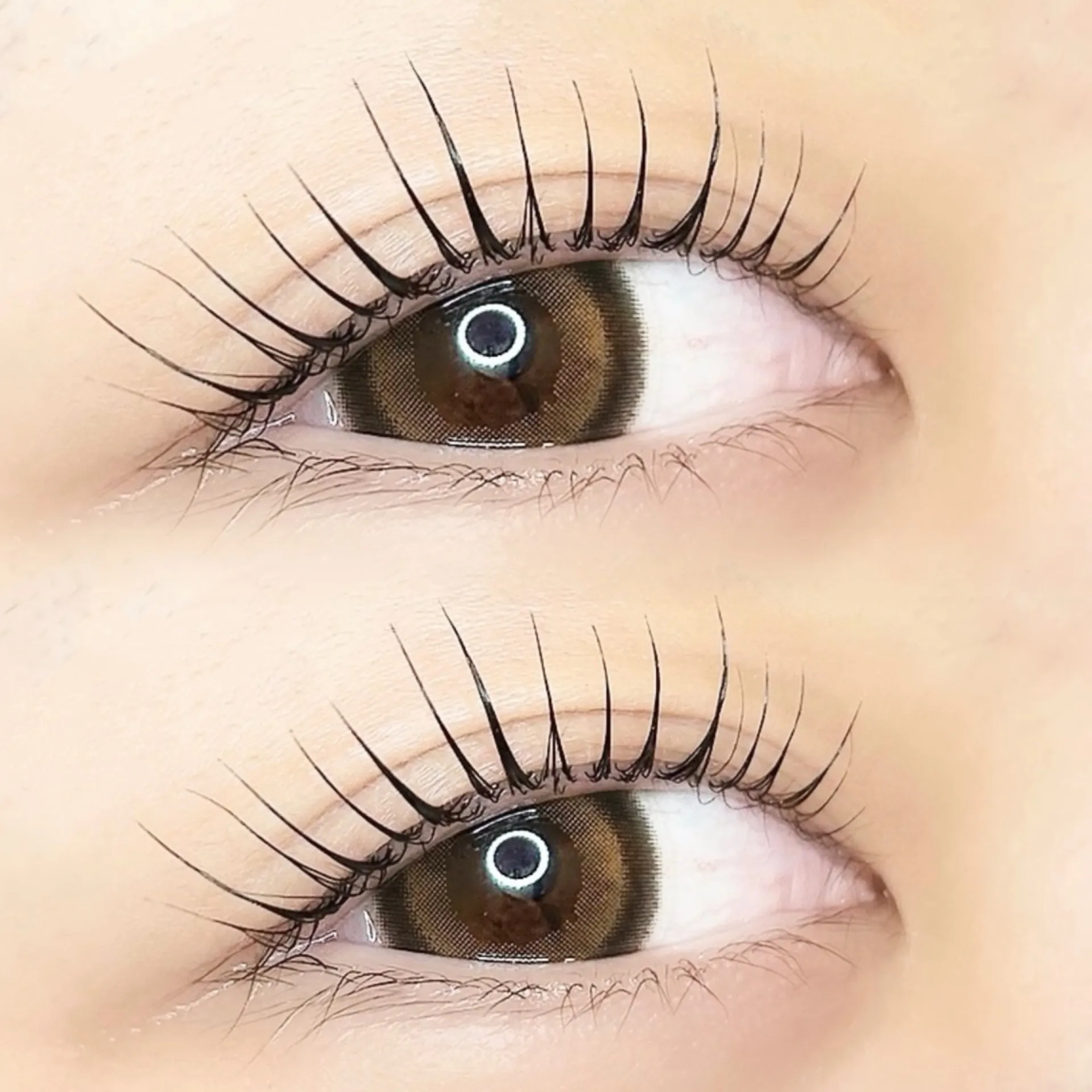 【柏市】圧倒的存在感👀✨マツパで盛りたい方は絶対コレ❤️‍🔥